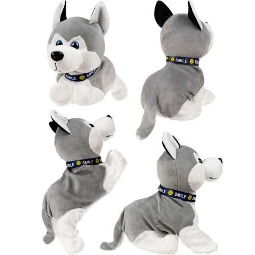 Pas Husky za djecu