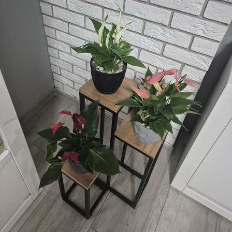 Metalni samostojeći stalak za cvijeće Loft